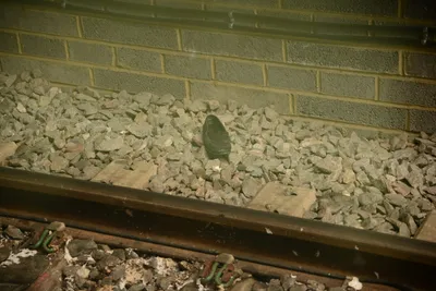 DSC_2518 (Large).JPG